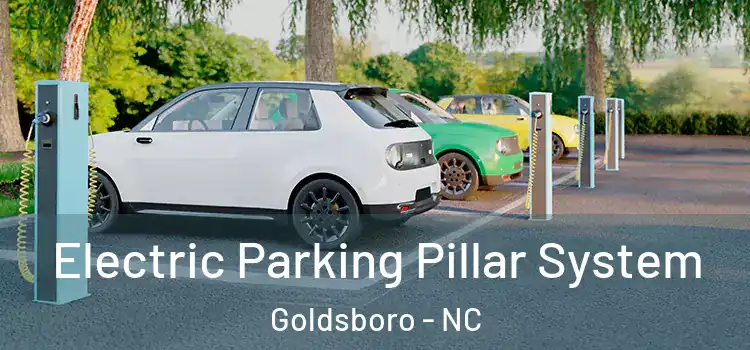 Electric Parking Pillar System Goldsboro - NC