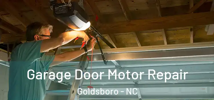  Garage Door Motor Repair Goldsboro - NC