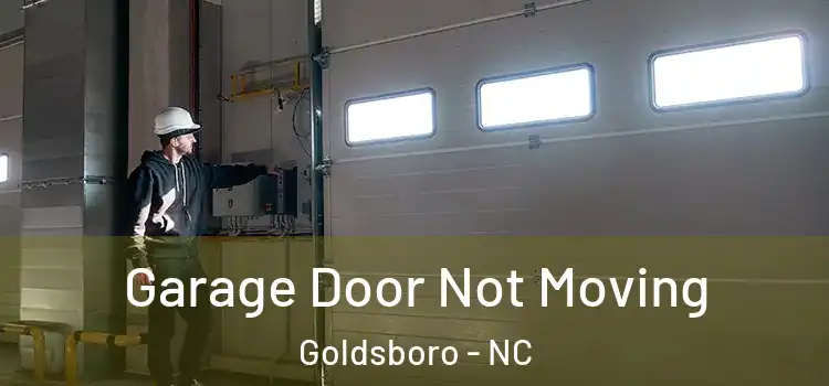 Garage Door Not Moving Goldsboro - NC