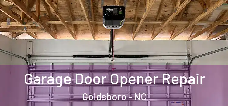  Garage Door Opener Repair Goldsboro - NC