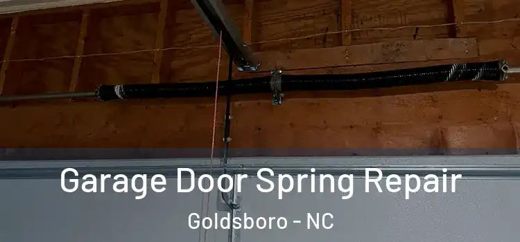  Garage Door Spring Repair Goldsboro - NC