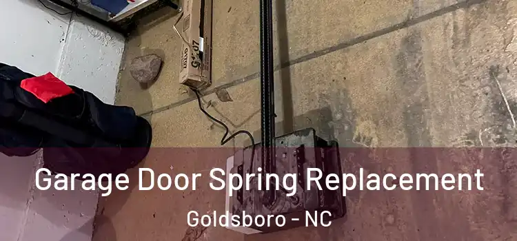  Garage Door Spring Replacement Goldsboro - NC