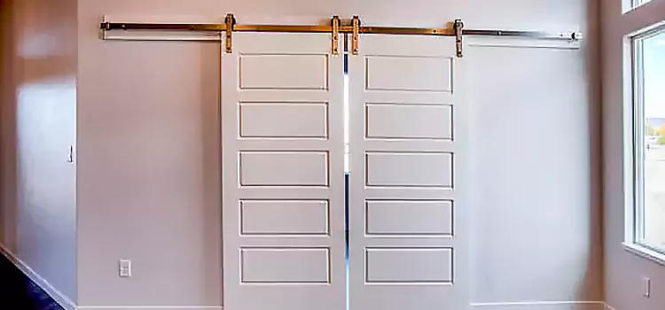 Glass Barn Door with Installation Hardware Kit Goldsboro