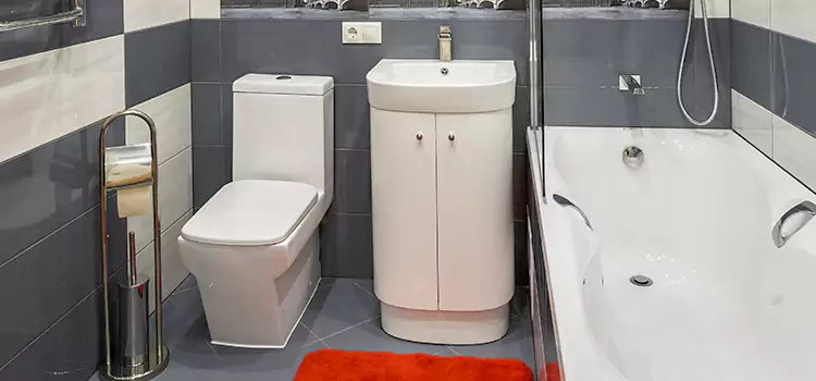 Hansgrohe Shaving Mirror Goldsboro