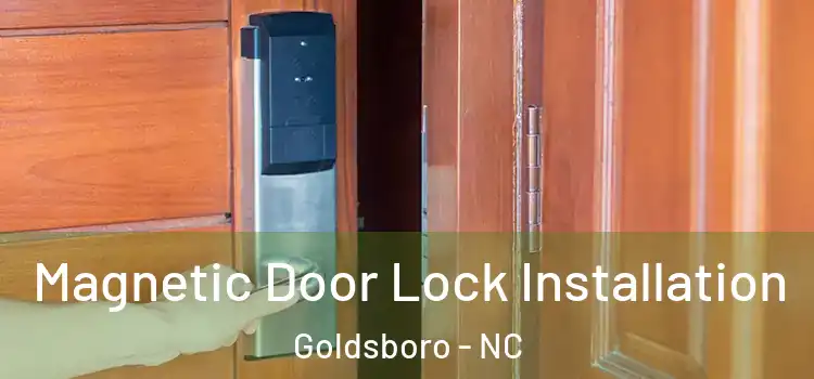  Magnetic Door Lock Installation Goldsboro - NC