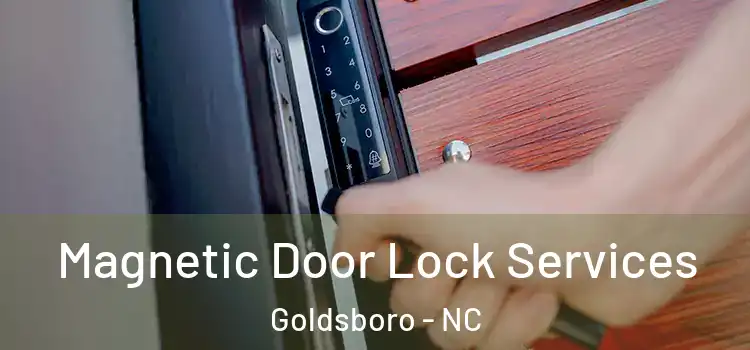 Magnetic Door Lock Services Goldsboro - NC