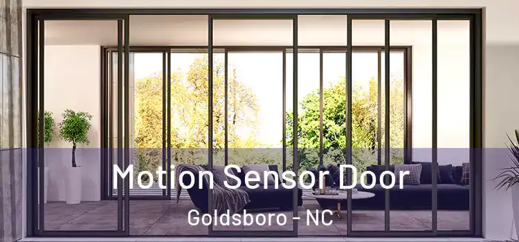  Motion Sensor Door Goldsboro - NC