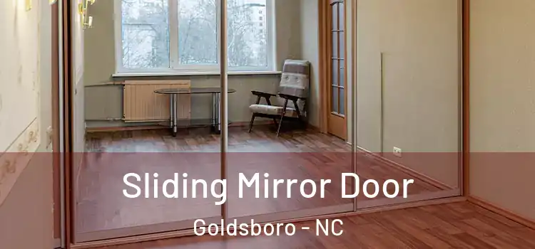  Sliding Mirror Door Goldsboro - NC